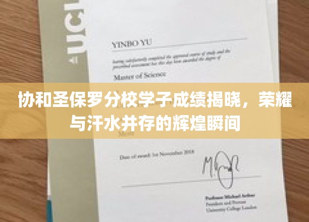 协和圣保罗分校学子成就璀璨，汗水铸就荣耀之光