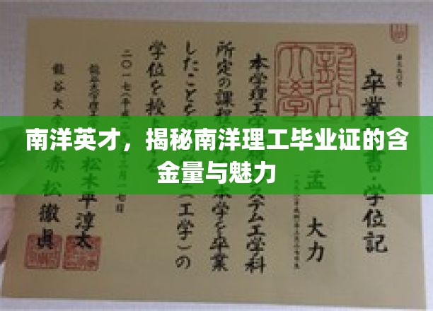 南洋学子荣耀，解码南洋理工证书的非凡价值与独特风采