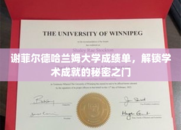 谢菲尔德哈兰姆大学成绩单，解锁学术成就的秘密之门
