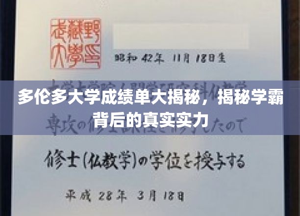 多伦多大学成绩单大揭秘，揭秘学霸背后的真实实力