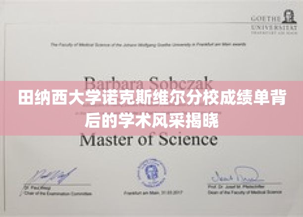 探索田纳西大学诺克斯维尔分校成绩单背后的璀璨学术魅力