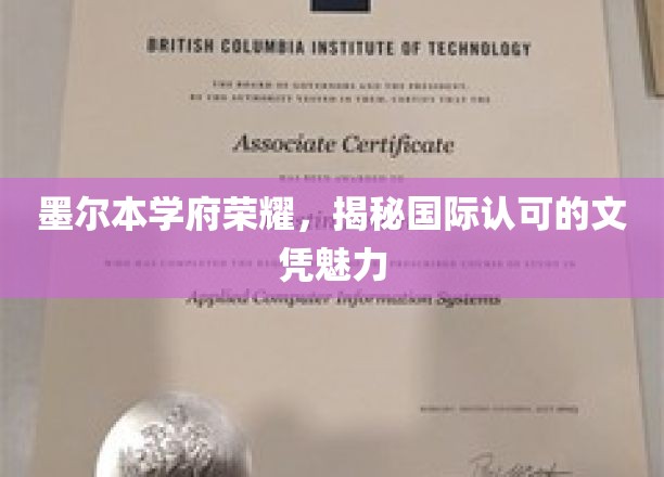 墨尔本顶尖学府之光，国际文凭的魅力一探究竟