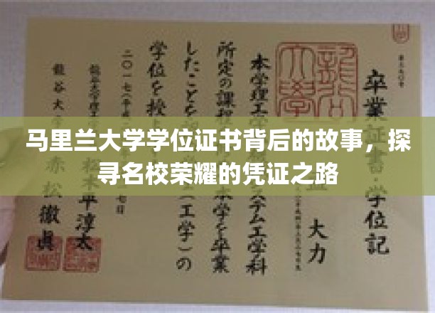 马里兰大学学位证书背后的故事，探寻名校荣耀的凭证之路