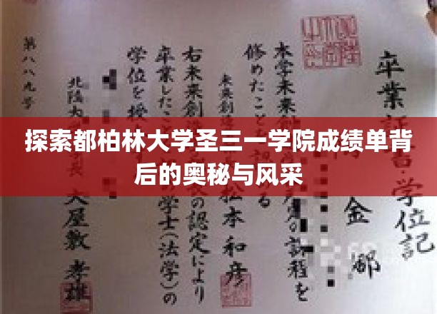 解码圣三一学院，都柏林大学成绩单的传奇故事