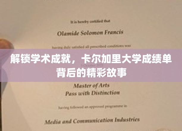 解锁学术成就，卡尔加里大学成绩单背后的精彩故事