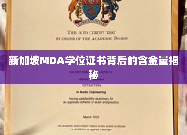 解码新加坡MDA学位证书，价值与认可度深度解析