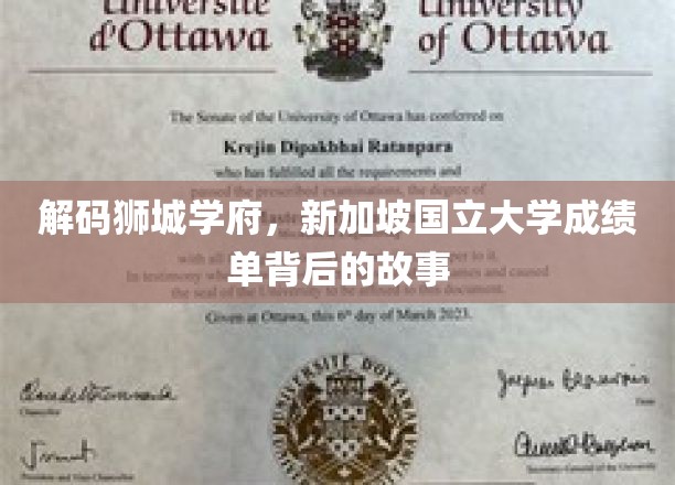 揭开狮城学府神秘面纱，新加坡国立大学成绩单背后的传奇