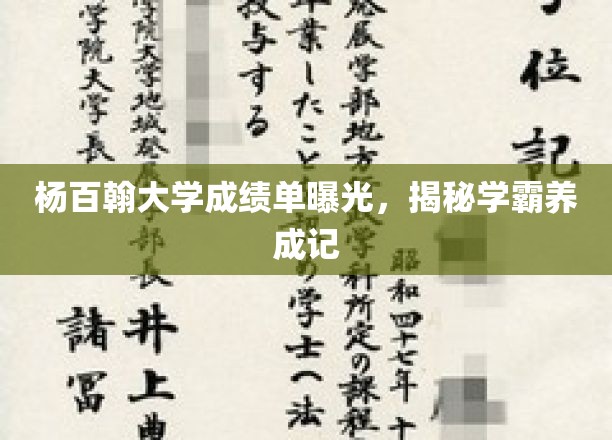 杨百翰大学成绩单曝光，揭秘学霸养成记