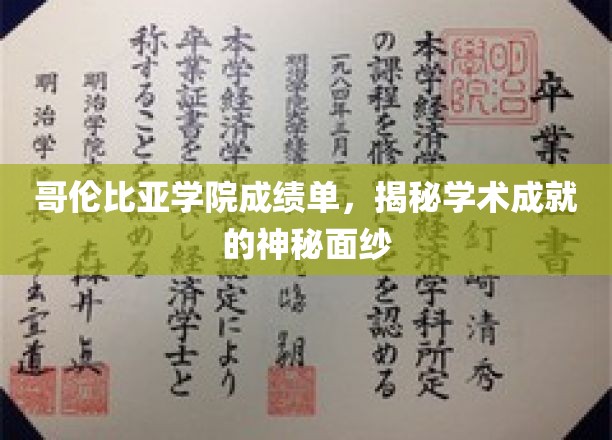 哥伦比亚学院成就揭秘，成绩单背后的学术风采