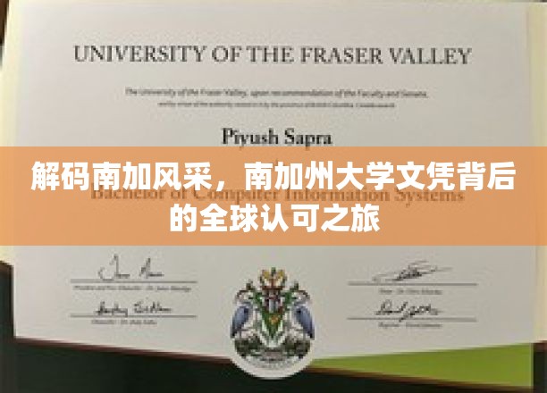 探索南加州大学，全球视野下的教育成就之旅