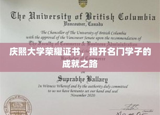 庆熙荣耀证书见证，名门学子非凡成就之旅