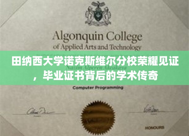 田纳西大学诺克斯维尔分校荣耀见证，毕业证书背后的学术传奇