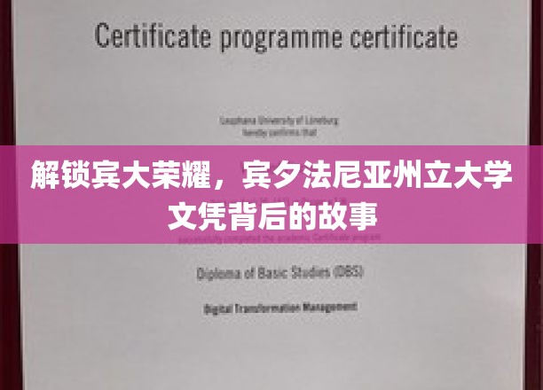 解锁宾大荣耀,宾夕法尼亚州立大学文凭背后的故事