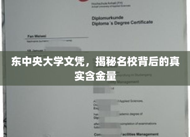 揭开东中央大学文凭的神秘面纱，探寻名校真实价值所在