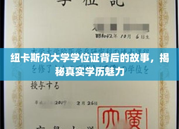 解码纽卡斯尔大学学位证，探寻学历背后的独特魅力
