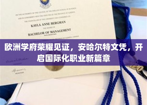 欧洲名校认证，安哈尔特学历助你跨步国际职场新纪元