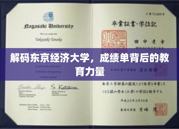 探寻东京经济大学，揭开学子辉煌成绩背后的教育密码