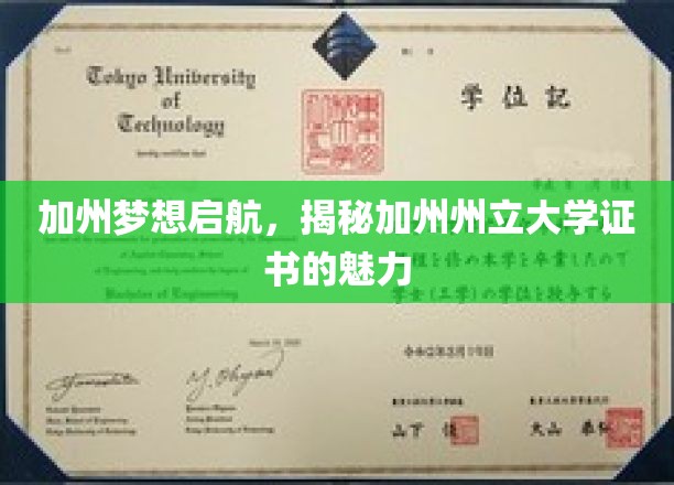 梦航加州，解锁州立大学证书的非凡魅力