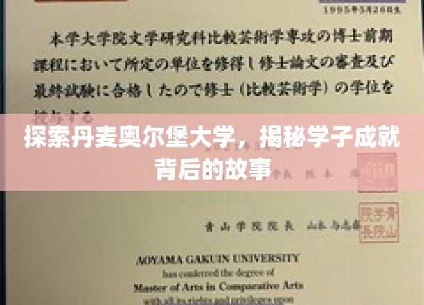 探索丹麦奥尔堡大学，揭秘学子成就背后的故事
