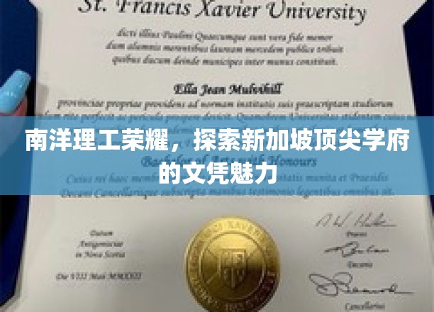 解码南洋荣耀，新加坡顶尖学府文凭的非凡吸引力