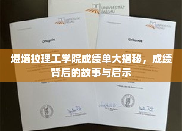 堪培拉理工学院成绩单大揭秘，成绩背后的故事与启示