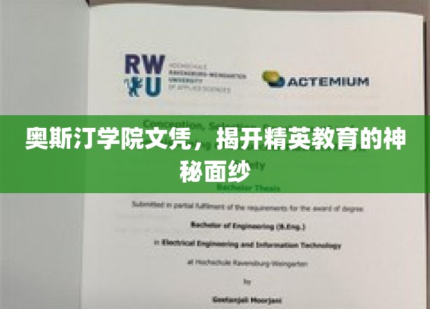 解码精英摇篮，奥斯汀学院文凭背后的教育秘境
