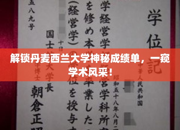 揭秘丹麦西兰大学神秘成绩单，揭秘学术魅力！