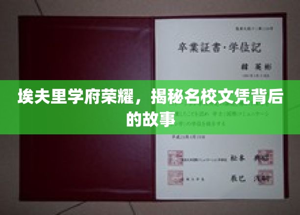 探寻埃夫里学府辉煌，名校文凭背后的传奇历程