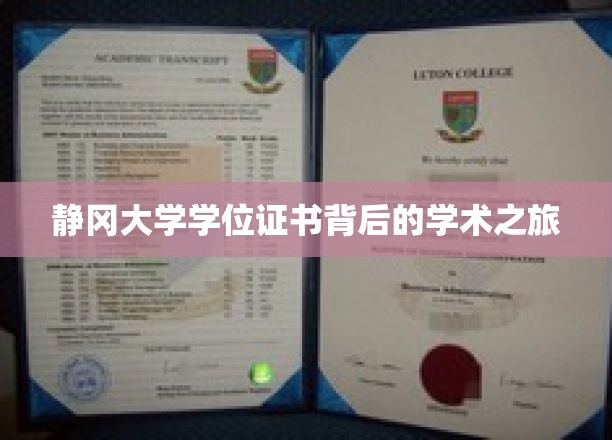 静冈大学学位证书，揭开学术旅程的辉煌篇章