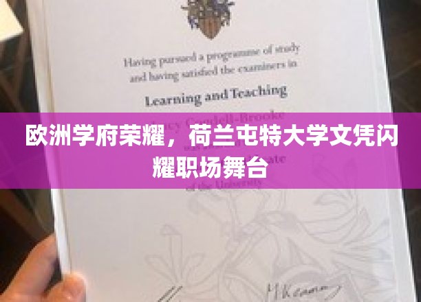 荷兰屯特大学荣耀加身，职场舞台闪耀欧洲学府风采