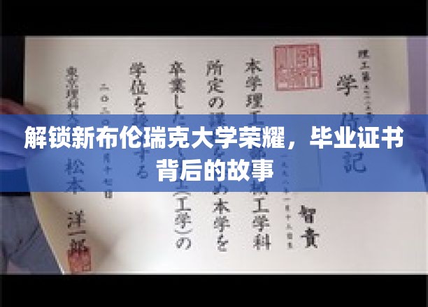 解锁新布伦瑞克大学荣耀，毕业证书背后的故事