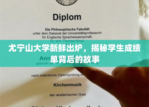 尤宁山大学成绩单揭秘，探寻学生背后的成长轨迹