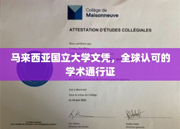马来西亚国立大学文凭，跨国界的学术通行证，开启全球精英之路