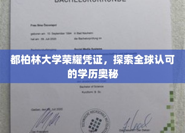 解码都柏林大学，国际认可学历背后的魅力之旅