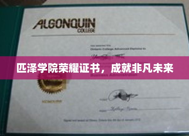 匹泽学院荣耀证书，开启非凡未来之旅