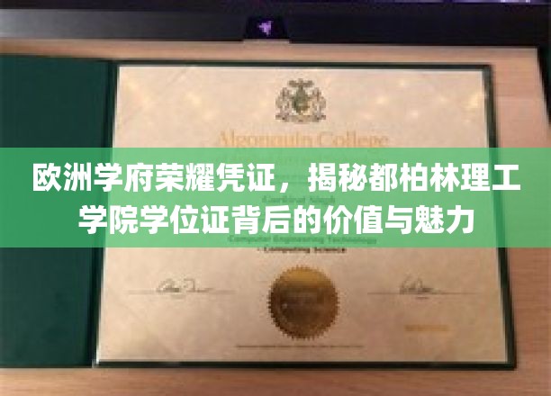 都柏林理工学院学位证，探寻欧洲教育瑰宝的荣耀与内涵