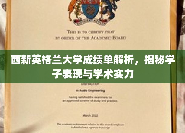 解码西新英格兰大学，学子成绩背后的学术实力与表现剖析
