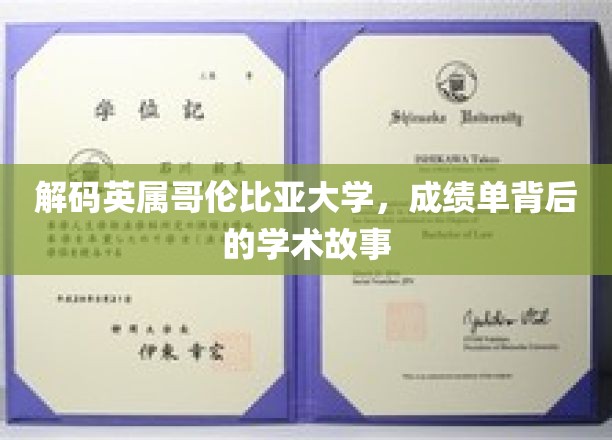 探寻英属哥伦比亚大学，成绩单中的智慧轨迹