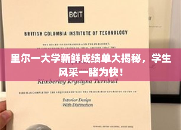 里尔大学新鲜成绩单曝光，学子风采绽放校园