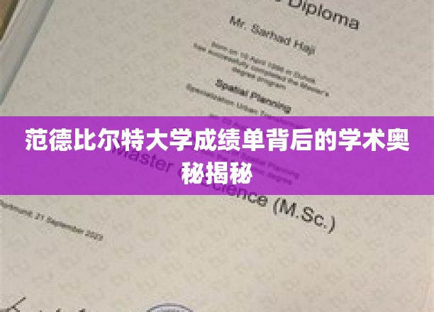 解码范德比尔特大学成绩单，探寻学术成就的秘密之门