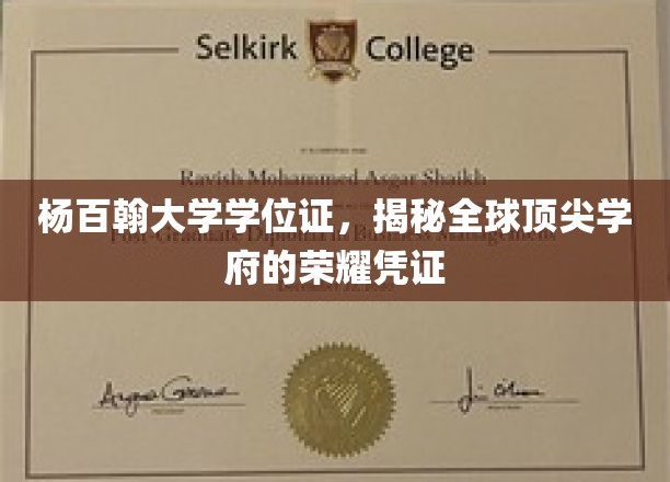 杨百翰大学学位证，揭开世界一流大学的精英身份象征
