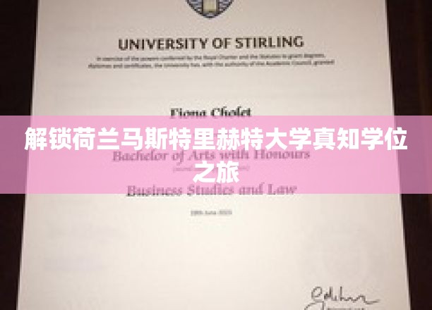 探索荷兰马斯特里赫特大学学位背后的独特奥秘