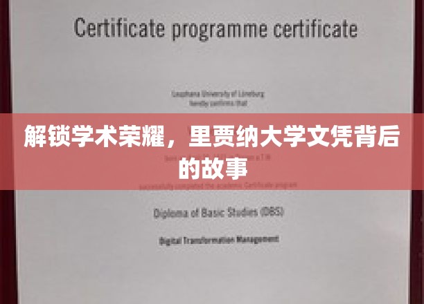 解锁学术荣耀，里贾纳大学文凭背后的故事