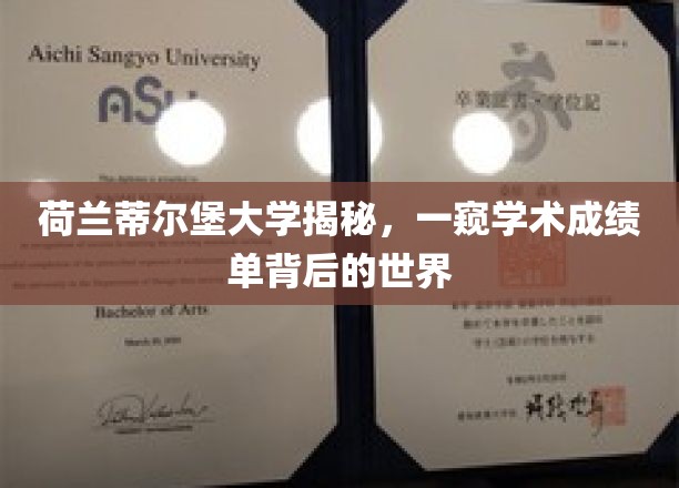 荷兰蒂尔堡大学揭秘，一窥学术成绩单背后的世界