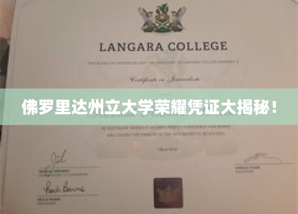 佛罗里达州立大学荣耀凭证大揭秘！