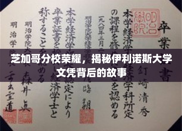 伊利诺斯大学荣耀之路，芝加哥分校毕业生文凭背后的非凡篇章