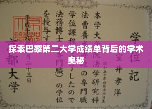 探索巴黎第二大学成绩单背后的学术奥秘