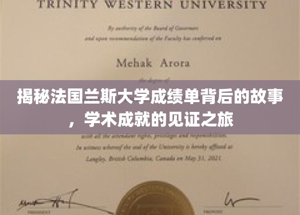 揭秘法国兰斯大学成绩单背后的故事，学术成就的见证之旅