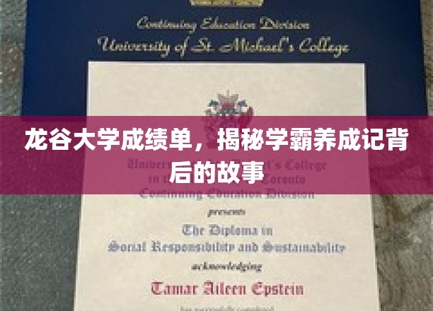 龙谷学霸养成记，揭秘高校成绩单背后的成长秘籍