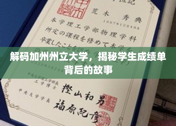 解码加州州立大学，揭秘学生成绩单背后的故事
